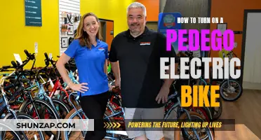 Pedego Electric Bike: Turning On and Riding Off