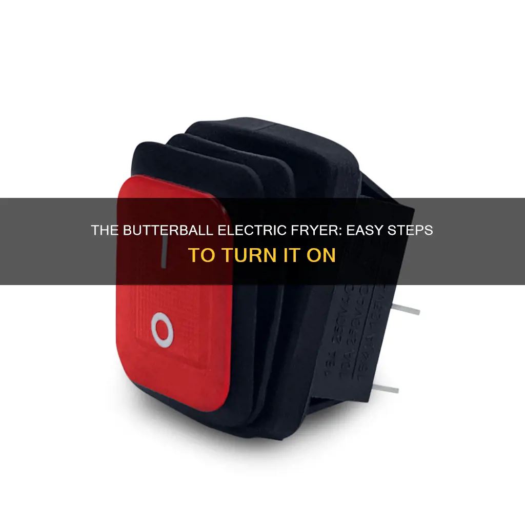 how to turn on butterball electric fryer