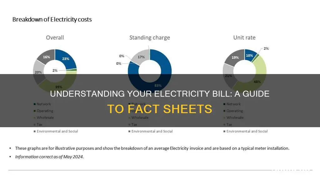 how to understand electricity company fact sheet
