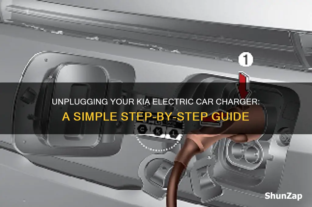 how to unplug electric car charger kia