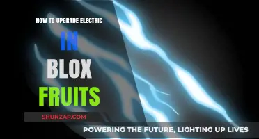 Enhancing Your Blox Fruits Electric Power: A Guide