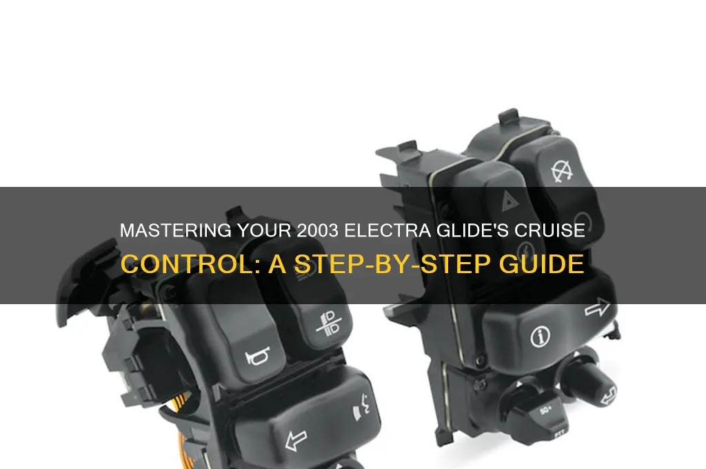 how to use 2003 electra glide cruise control