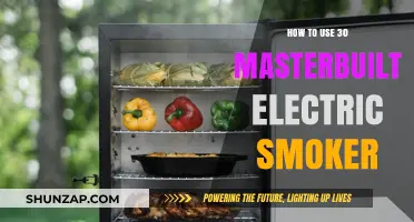 Masterbuilt Electric Smoker Guide: Perfect Smoking Techniques for Beginners