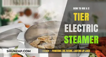 Mastering the Art of Cooking with a 2-Tier Electric Steamer