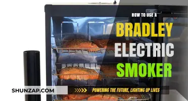 Mastering the Bradley Electric Smoker: A Beginner's Guide to Perfect Smoking