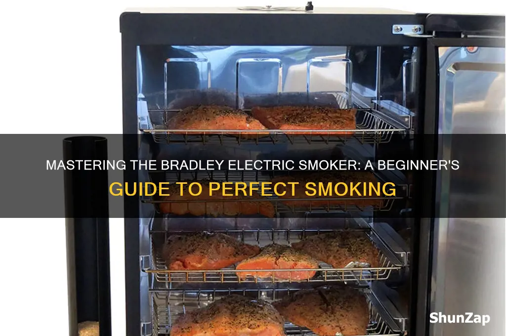 how to use a bradley electric smoker
