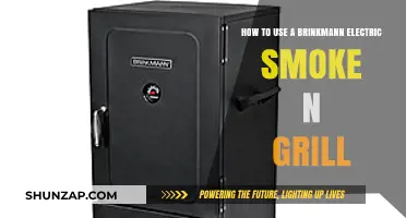 Mastering the Brinkmann Electric Smoke N Grill: Tips and Techniques
