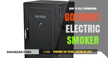 Mastering the Brinkmann Gourmet Electric Smoker: A Step-by-Step Guide