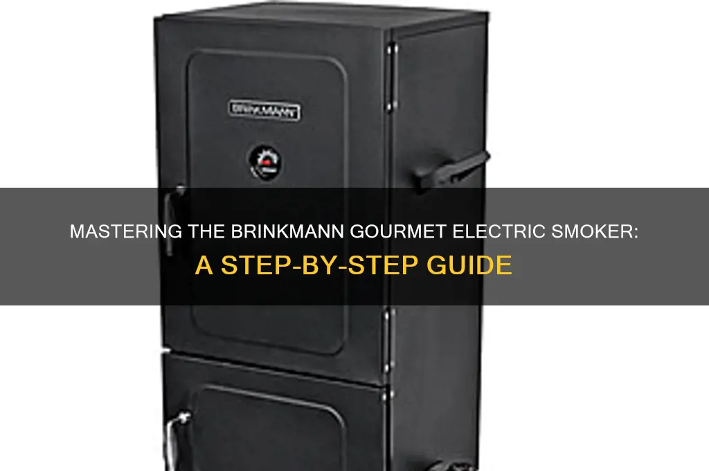 how to use a brinkmann gourmet electric smoker