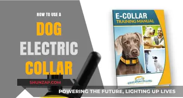 Effective Training Tips: Using a Dog Electric Collar Safely and Responsibly