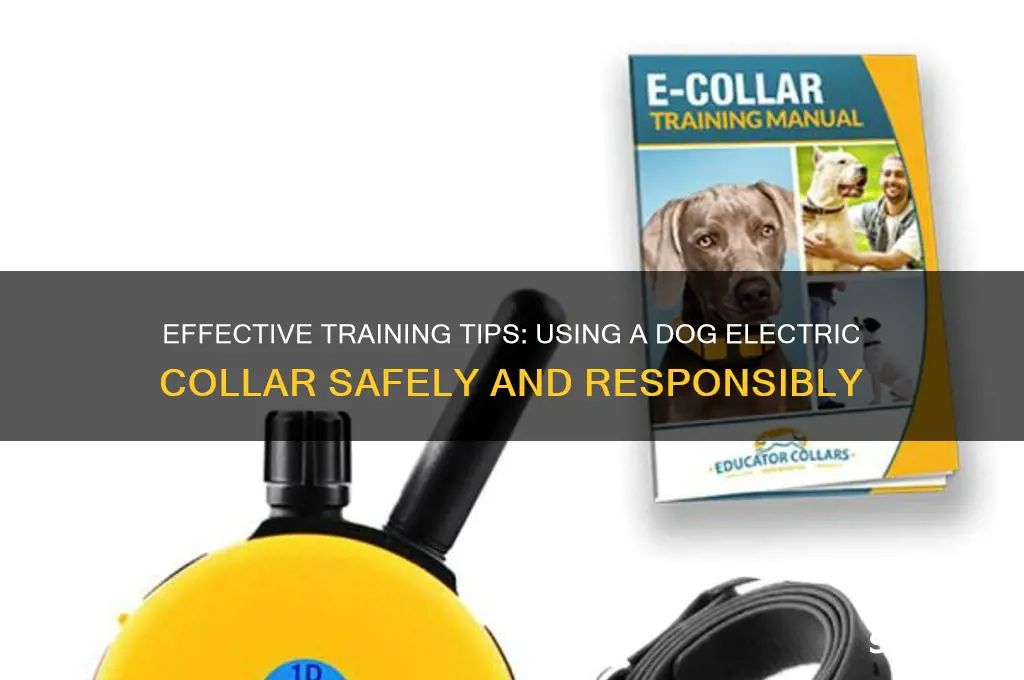 how to use a dog electric collar