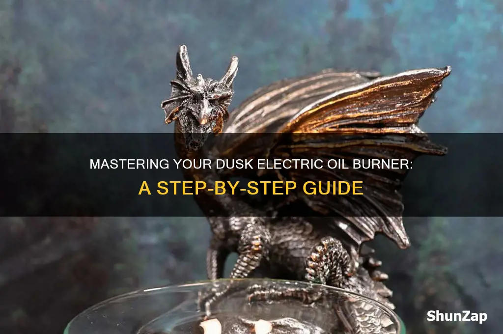 how to use a dusk electric oil burner
