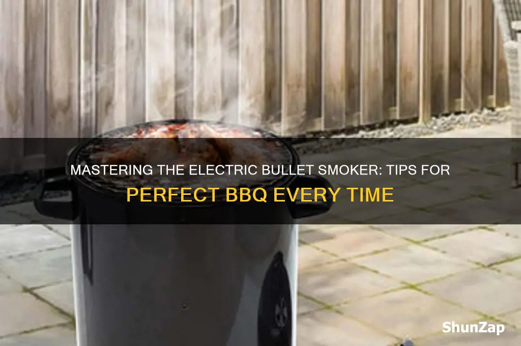 how to use a electric bullet smoker