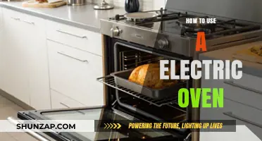 Mastering Your Electric Oven: Tips for Perfect Cooking Every Time