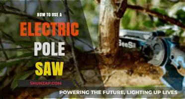 Mastering Electric Pole Saw Techniques for Safe and Efficient Tree Trimming