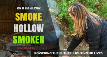 Mastering the Electric Smoke Hollow Smoker: Tips for Perfect BBQ