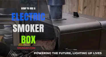 Mastering Electric Smoker Box Techniques for Perfectly Smoked Meats