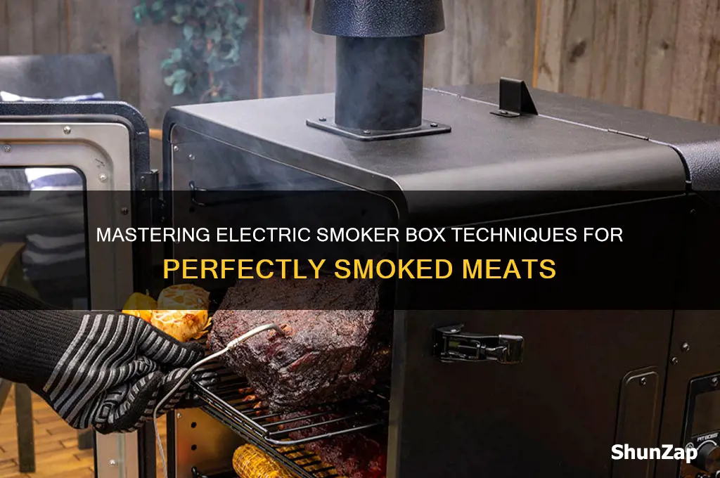 how to use a electric smoker box