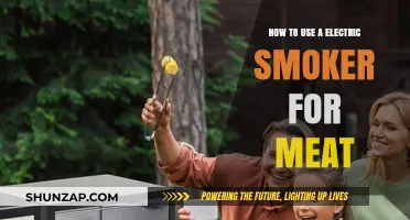 Mastering Electric Smoking: Perfect Meat Every Time with Simple Tips