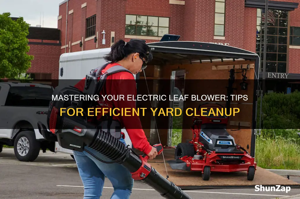 how to use a electric sthl blower