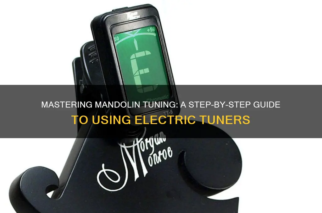 how to use a electric tuner for mandolin