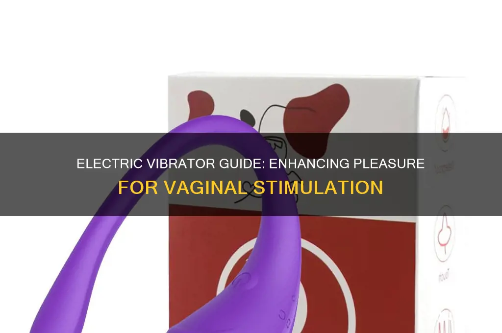 how to use a electric vibrator on a vigina