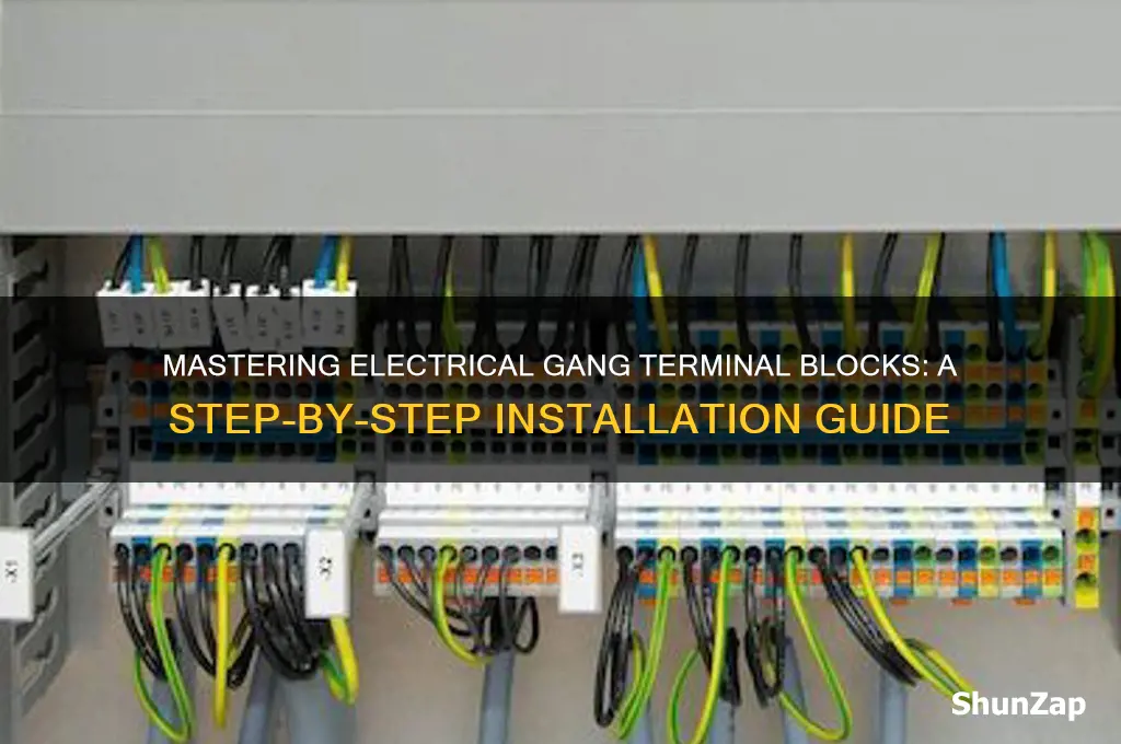 how to use a electrical gang terminal block