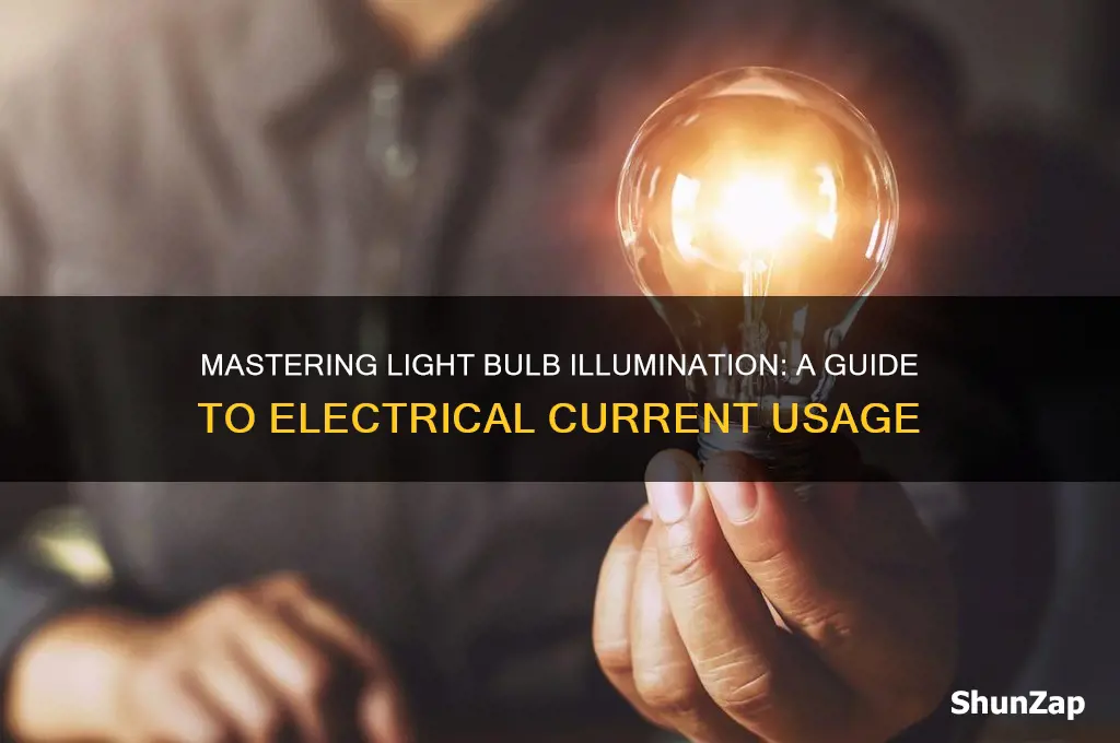 how to use a light bulb through electrical curents