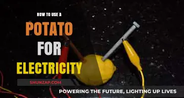 Power Up with Potatoes: A Simple Guide to Potato Electricity