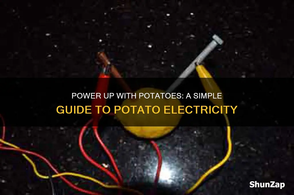 how to use a potato for electricity