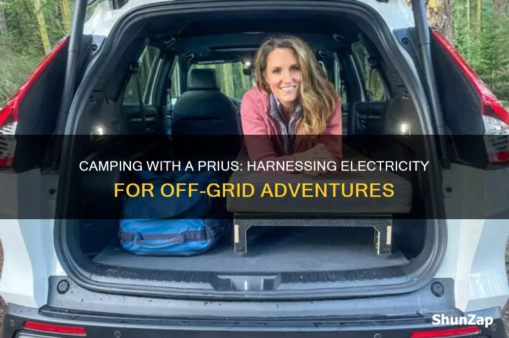 how to use a prius electricity camping