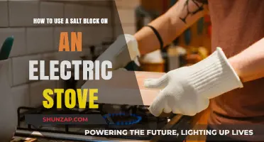 Mastering Salt Block Cooking on Your Electric Stove: Tips & Tricks