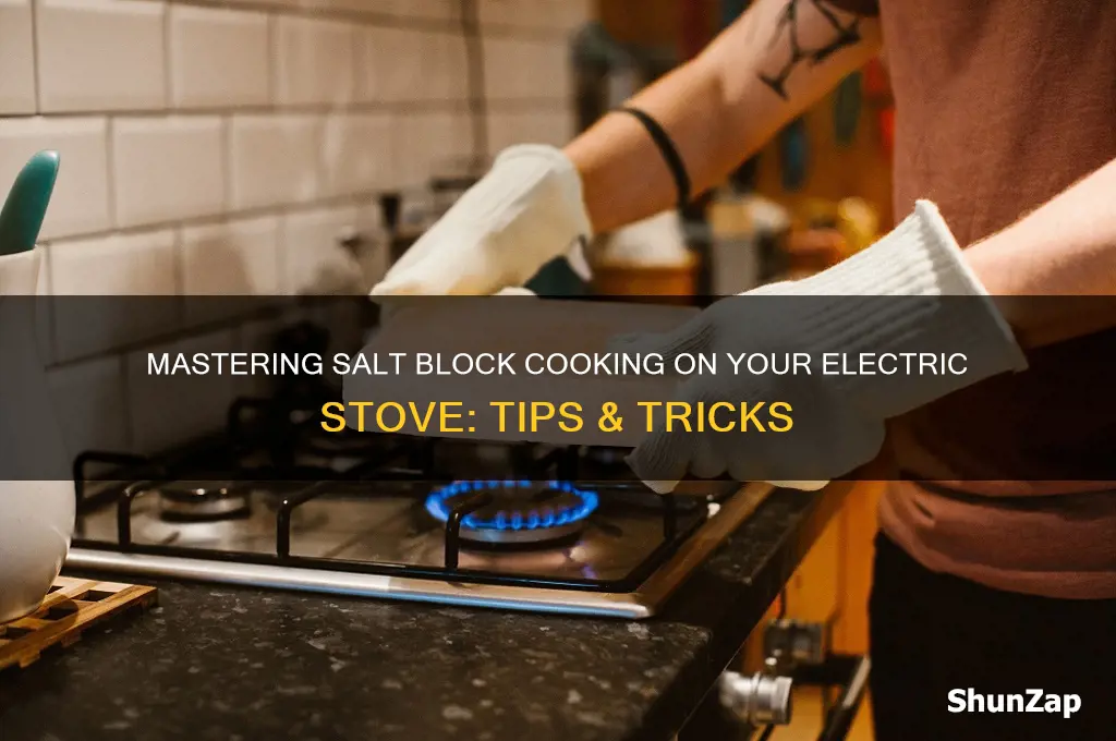 how to use a salt block on an electric stove