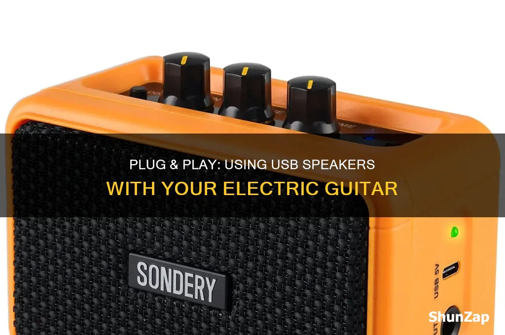 how to use a usb speaker with a electric guitar