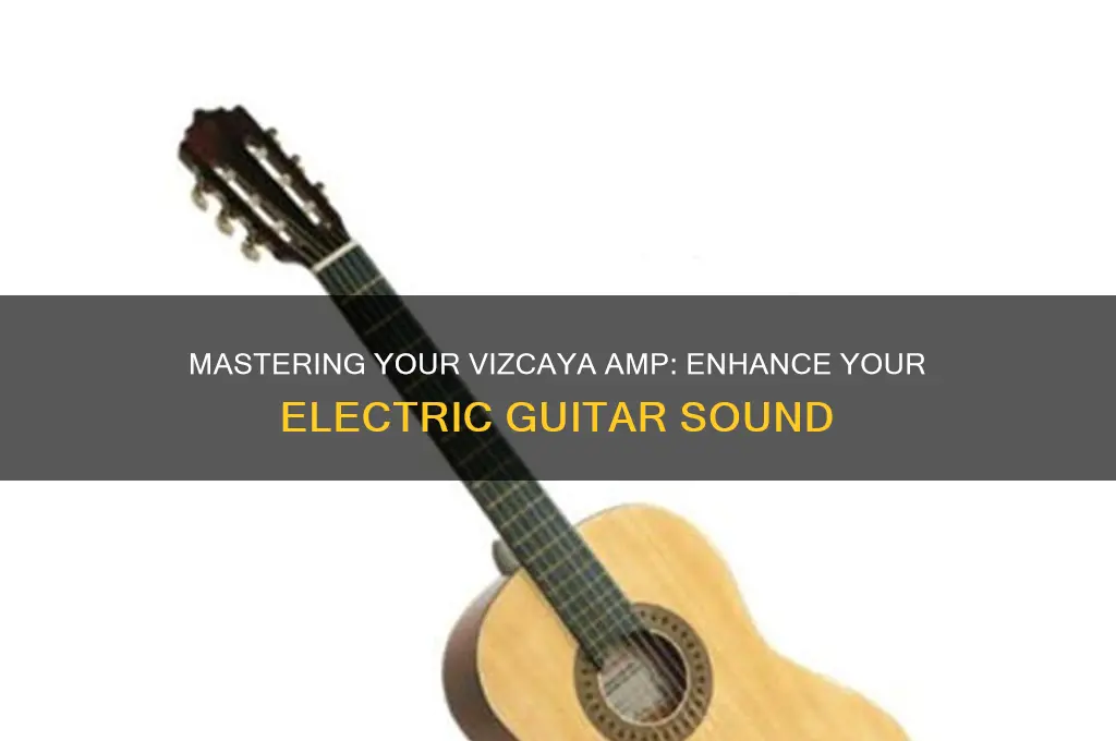 how to use a vizcaya amp for electric guitar