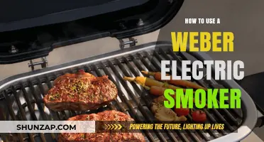 Mastering the Weber Electric Smoker: Tips for Perfect BBQ Every Time