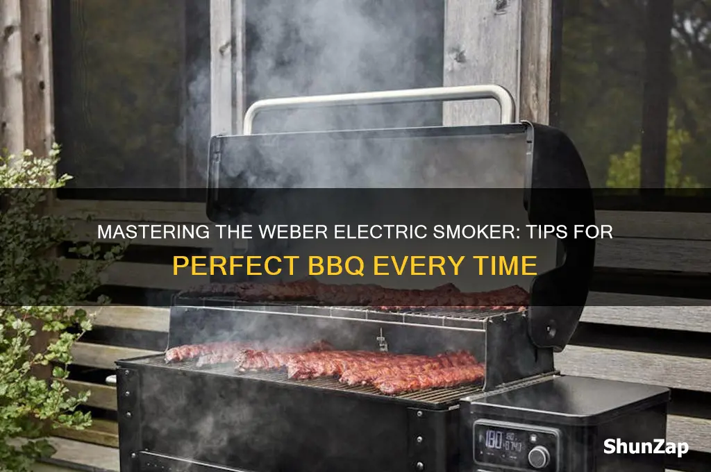 how to use a weber electric smoker
