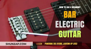 Mastering the Whammy Bar: Techniques for Electric Guitar Expression