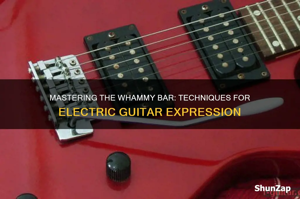 how to use a whammy bar electric guitar