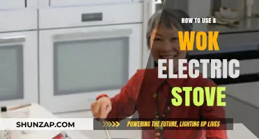 Mastering Wok Cooking on Electric Stoves: Tips and Techniques