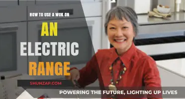Mastering Wok Cooking on Electric Stoves: Tips and Techniques