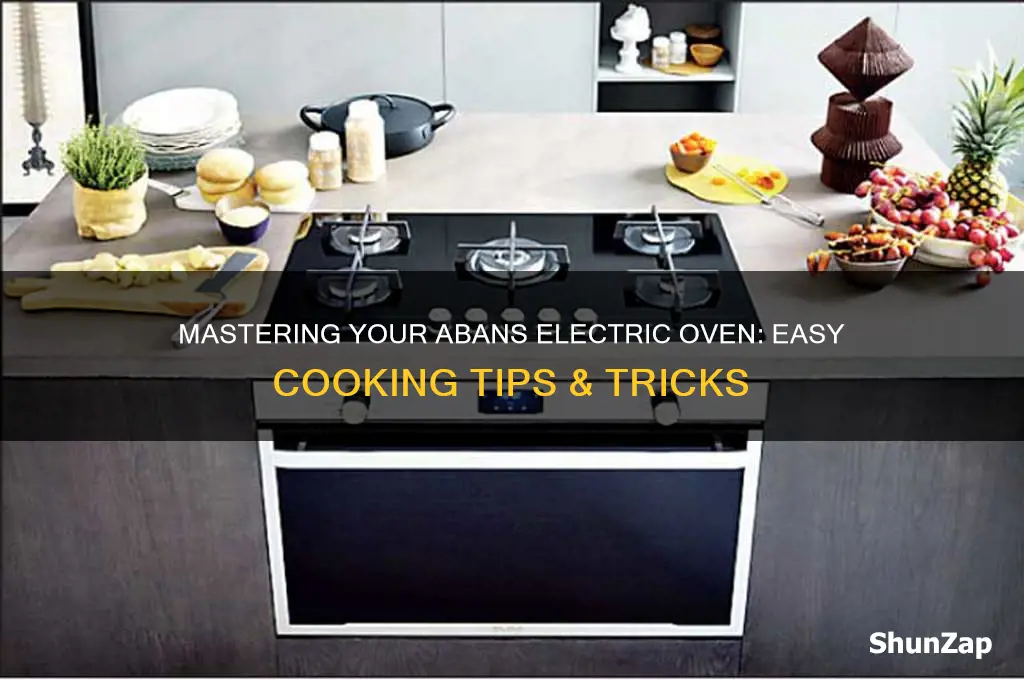 how to use abans electric oven