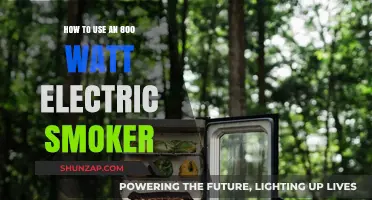 Mastering the Art of Smoking: A Guide to Using Your 800 Watt Electric Smoker
