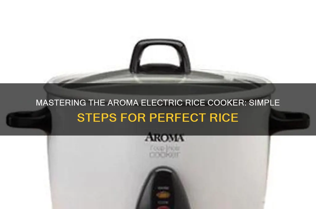 how to use an aroma electric rice cooker