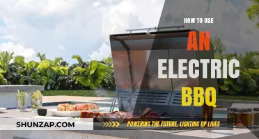 Mastering the Electric BBQ: Tips for Perfect Grilling Every Time
