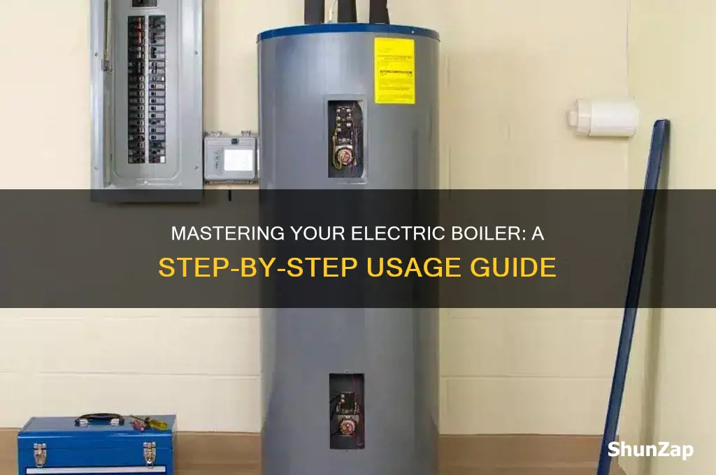 how to use an electric boiler