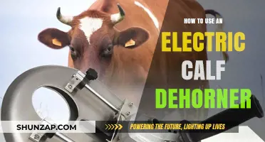 Mastering Electric Calf Dehorning: A Step-by-Step Guide for Farmers