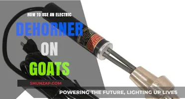 Effective Goat Dehorner Techniques: A Guide to Using Electric Tools
