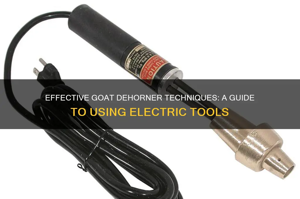 how to use an electric dehorner on goats