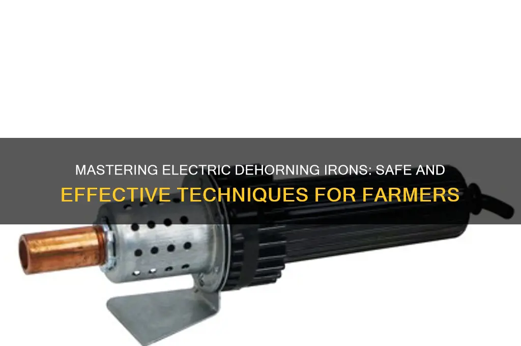 how to use an electric dehorning iron